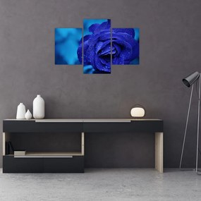 Tablou cu trandafir albastru (90x60 cm)