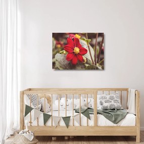 Tablou pe sticlă cu floare (70x50 cm)