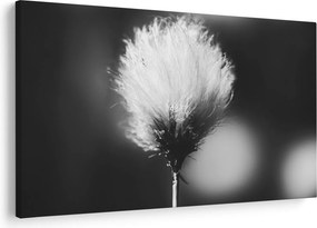 Tablou - Coțofană neagră și albă (90x60 cm)