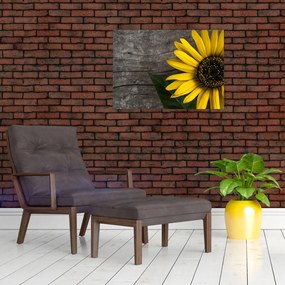Tablou pe sticlă - Floare de floarea soarelui (70x50 cm)