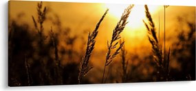 Tablou - Apus de soare (120x50 cm)