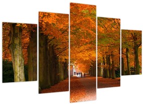 Tablou - Bulevardul de copaci în toamnă (150x105 cm)