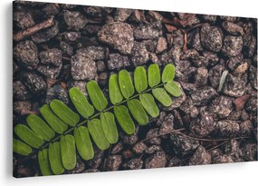 Tablou cu planta verde (90x60 cm)