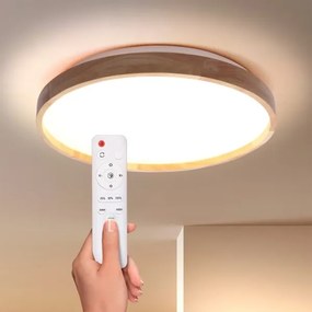 Plafonieră LED dimabilă Brilagi ALSON LED/48W/230V 3000-6500K + telecomandă