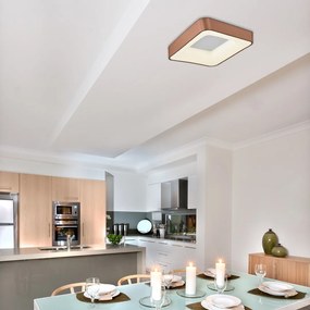 Plafoniera LED camera de zi, sufragerie, dormitor Carmella 5057 RX