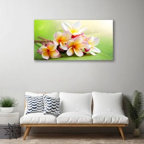 Tablou pe panza canvas Flori Floral Roșu Alb Galben