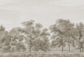 Fototapet, Whispering Forest, Beige, Rebel Walls