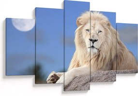 Tablou - Leu alb (150x105 cm)