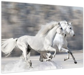 Tablou pe sticlă - Cai albi în timpul iernii (70x50 cm)