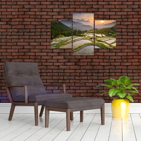 Tablou - Terase de orez (90x60 cm)