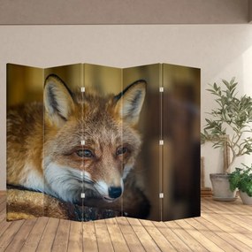 Paravan - Vulpe (210x170 cm)
