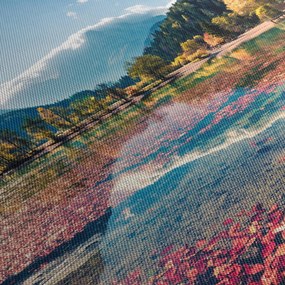Tablou - Lacul Jasna, Gozd Martuljek, Alpii Iulieni, Slovenia (120x50 cm)