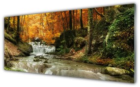 Tablou pe sticla Cascada Natural Pădurea Verde Brun Galben