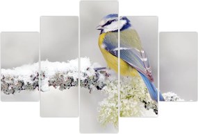 Tablou - Tit albastru în pădure (150x105 cm)