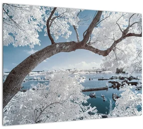 Tablou cu copac înzăpezit lângă apă (70x50 cm)