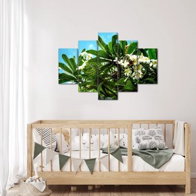 Tablou - Plumeria (150x105 cm)