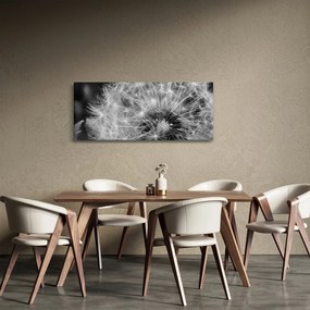 Tablou - mulțime de păpădii (120x50 cm)