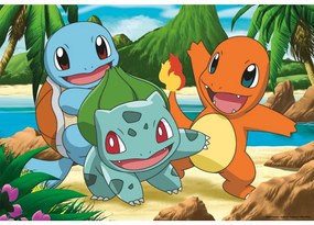 PUZZLE POKEMON 2 X 24 PIESE - RAVENSBURGER (RVSPC05668)