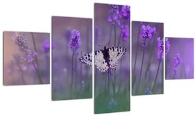 Tablou - fluture în lavandă (125x70 cm), în 40 de alte dimensiuni noi