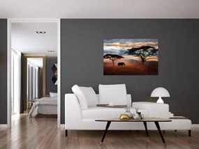 Tablou - Parcul Național Serengeti, Tanzania, Africa (90x60 cm)