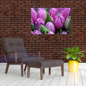 Tablou - florile lalelelor (90x60 cm)