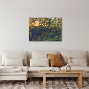 Tablou - Podgorii (70x50 cm)