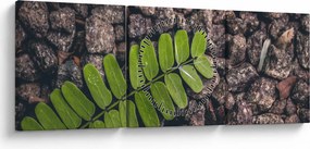 Tablou cu planta verde (cu ceas) (90x30 cm)