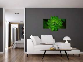 Tablou cu coniferi (90x60 cm)