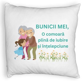 Perna Decorativa Fluffy, pentru Bunici 3, 40x40 cm, Alba, Husa Detasabila, Burduf