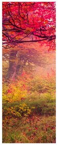 Fotojaluzele R012510R57150 (57x150 cm)