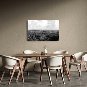 Tablou - Acoperișuri clădirilor din Paris (90x60 cm)