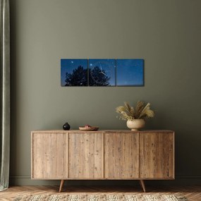 Tablou cu copaci noapte (cu ceas) (90x30 cm)