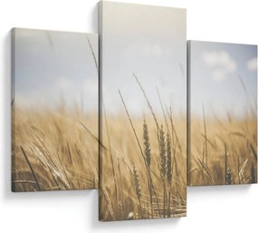 Tablou cu grâne (90x60 cm)