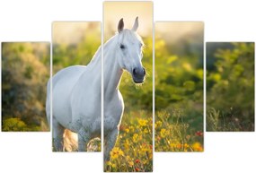 Tablou - Cal alb în poină (150x105 cm)