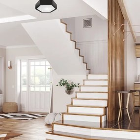 Plafonieră HEX 1xE27/60W/230V d. 32 cm negru pin