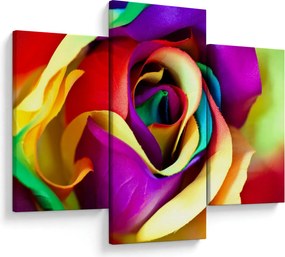 Tablou - Trandafir colorat (90x60 cm)