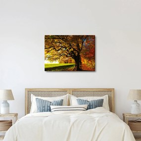 Tablou cu copac toamna (70x50 cm)