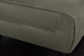 Fotoliu Pat SMART MULTIFUNCTION 100cm catifea raiata verde