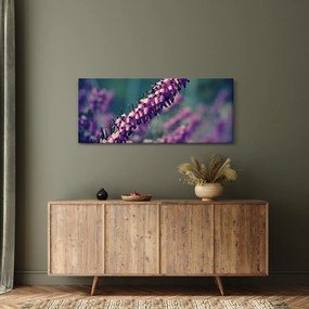 Tablou cu floare violetă (120x50 cm)