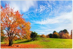 Tablou - Peisaj de toamnă (90x60 cm)