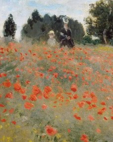 Monet, Claude - Artă imprimată Poppies, (30 x 40 cm)