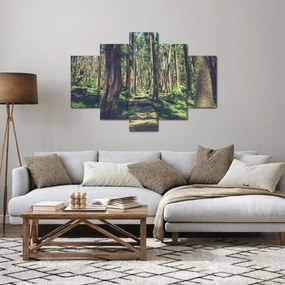 Tablou cu drum între copaci (150x105 cm)