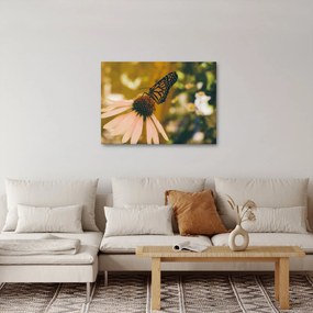 Tablou cu fluture pe floare (70x50 cm)