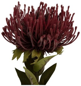 Plantă artificială (înălțime 60 cm) Protea – PT LIVING