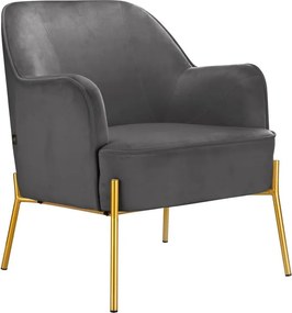 Fotoliu gri cu tapițerie din catifea Runa – Støraa