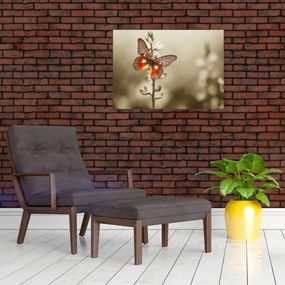 Tablou pe sticlă cu fluture (70x50 cm)