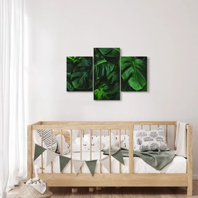 Tablou cu frunze Monstery (90x60 cm)