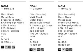 Pendul LED modern, Metal, Sticla, Champaign, Nali