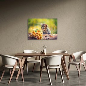 Tablou pe sticlă cu pisicuța uitându-se la floare (70x50 cm)
