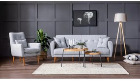 Set canapea fotoliu Aryanna (Gri). 1101495
